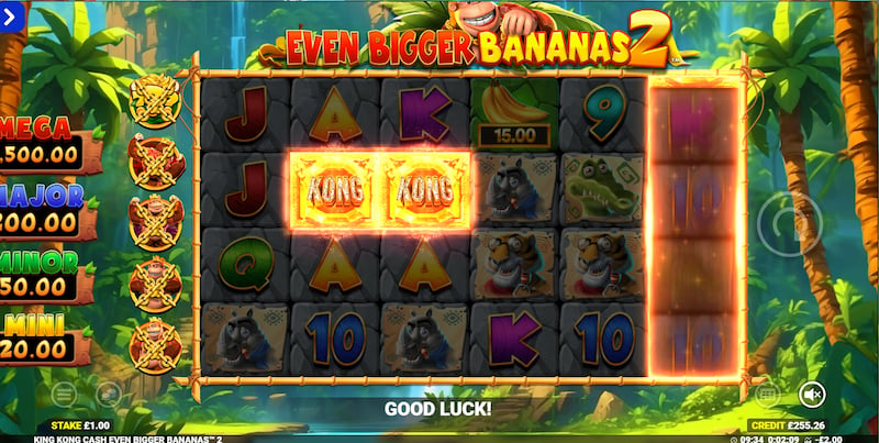 King Kong Cash slot series King Kong Cash Even Bigger Bananas 2 slot game mrq online casino jungle amazon slots palm trees monkey games real money bets rainforest free spins bonus game