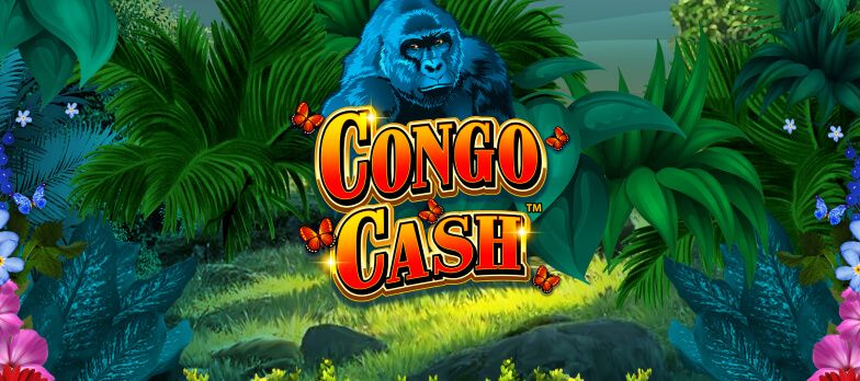 hp-congo-cash.jpg