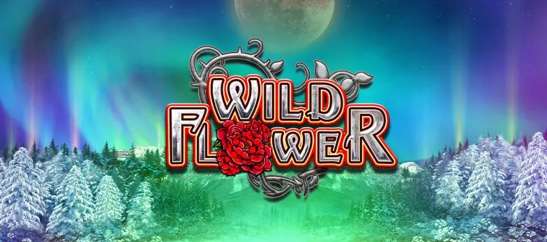 hp-wild-flower.jpg